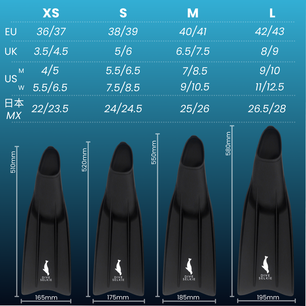 Fins and Mask Freediving Starter Set