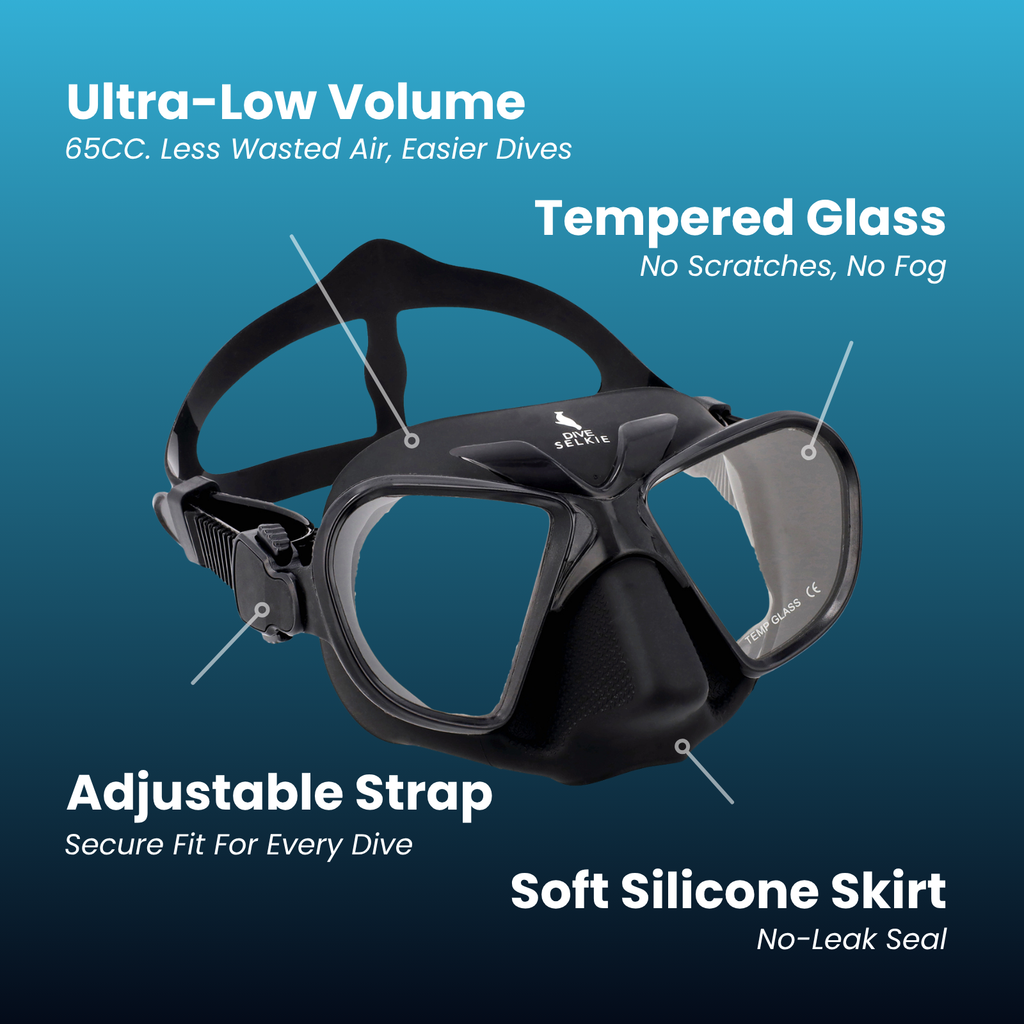 Fins and Mask Freediving Starter Set